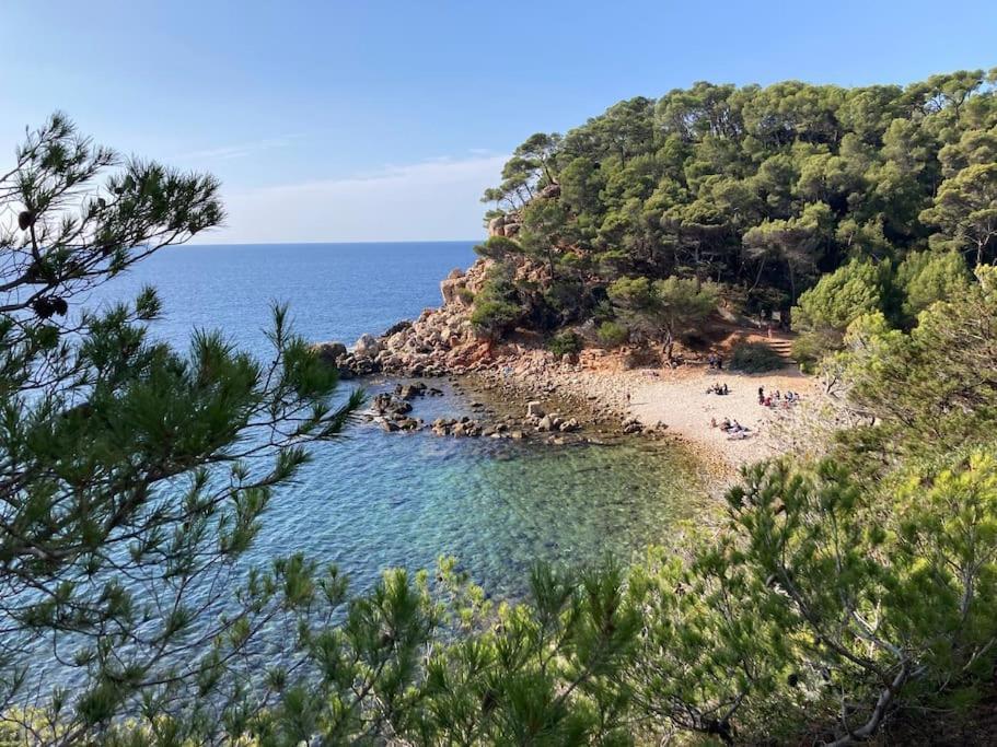 Bandol Roc Beach Vue Mer Grand T3 Face A La Plage Avec Parking Ngoại thất bức ảnh